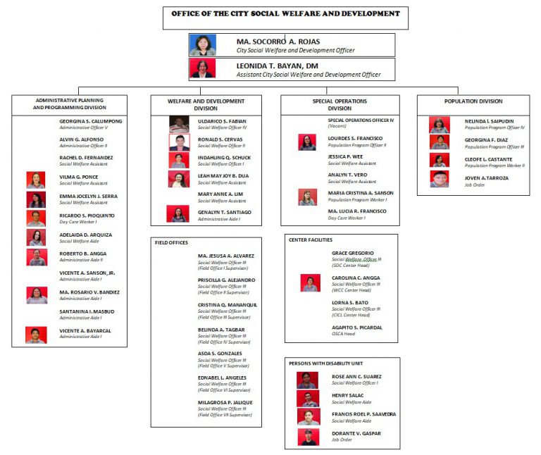 Organizational Chart City Social Welfare And Development 8666