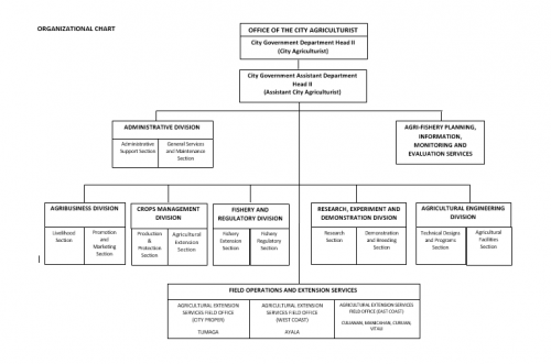 Organizational Chart | City Agriculture