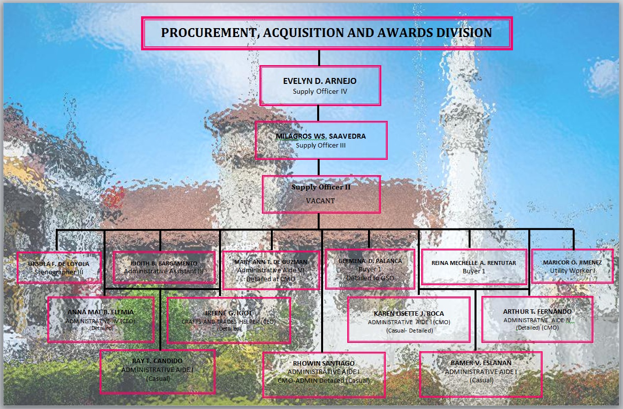 Organizational Chart Bac Paad